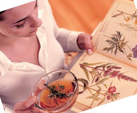 Popular recipes from parasites